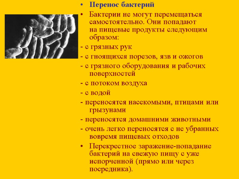 Перенос бактерий Бактерии не могут перемещаться самостоятельно. Они попадают на пищевые продукты следующим образом: